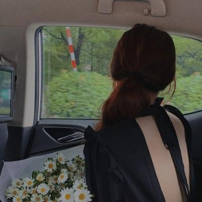 美森谷地 在线观看